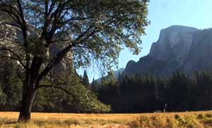 Yosemite Valley