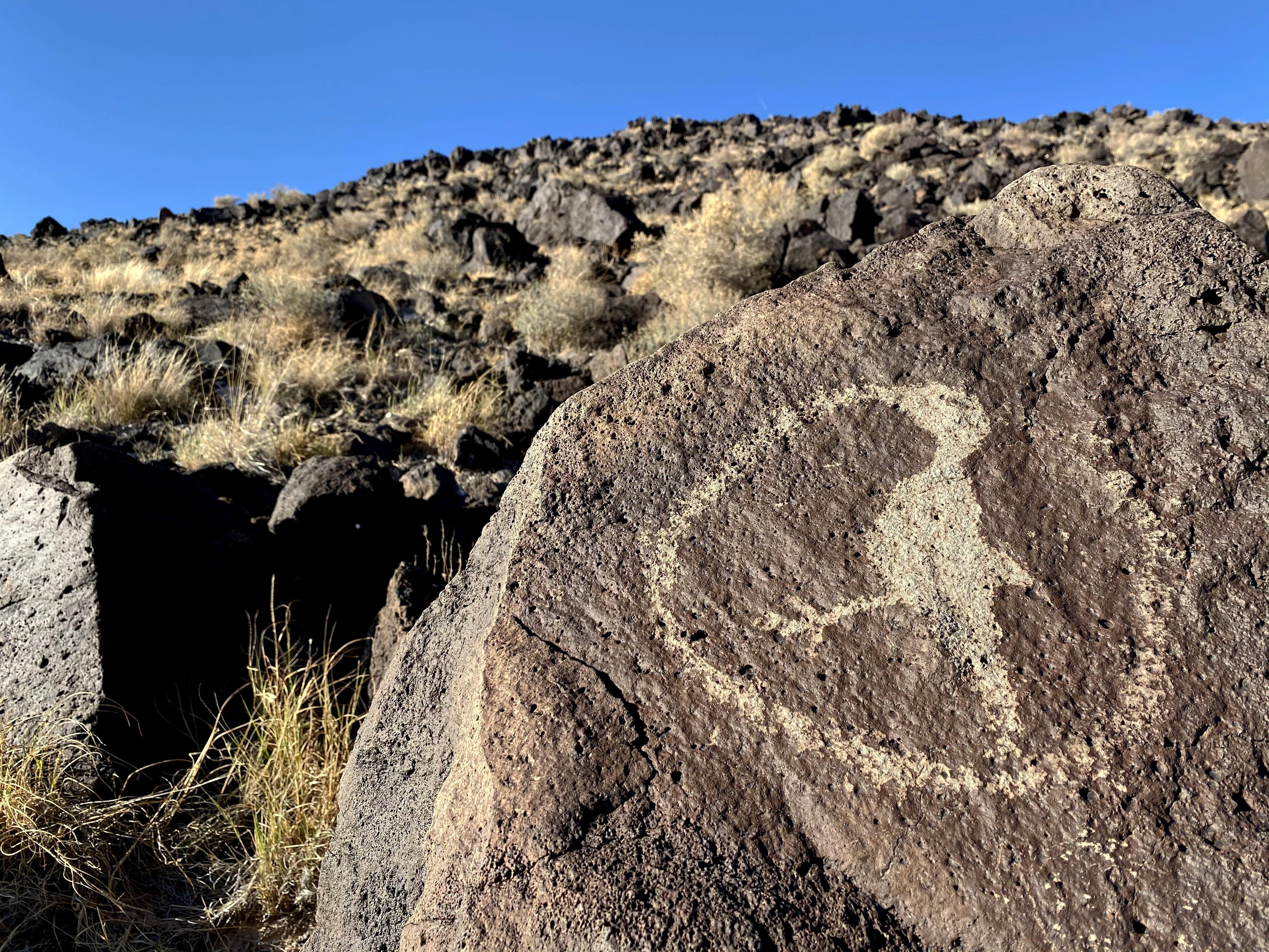Rinconada Canyon Trail - Petroglyph National Monument (U.S. ...
