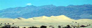 Dune field