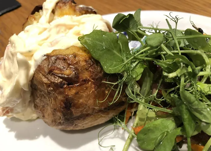 Best Dog Friendly Accommodations Near Glasgow