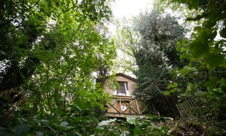 exterior-of-the-bird-box-from-below