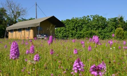 simply canvas, dordogne, France
