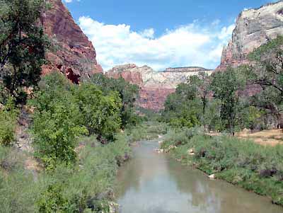 The Virgin River in Zion National Park